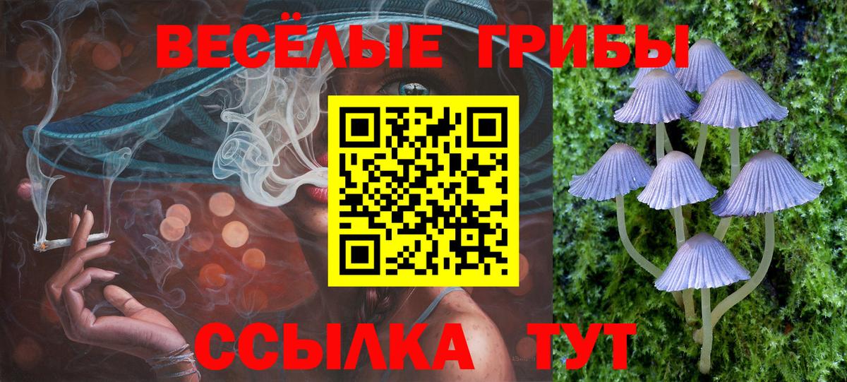 Псилоцибиновые грибы мицелий Нижнекамск