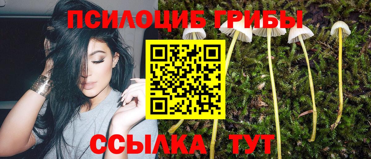 Псилоцибиновые грибы мухоморы  Вход с VPN  Нижнекамск 